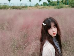 -大塘金香草谷