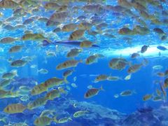 -海合安成都极地海洋公园