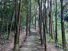 -广州市帽峰山景区