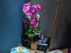 -深蓝盲人推拿·颈肩腰腿疼痛·艾灸调理(清河店)