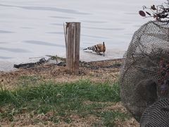 -昆山城市生态森林公园