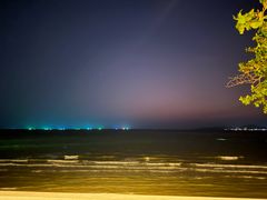 -卷心菜和避孕套餐厅(Pattaya)