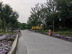 -新江湾城公园