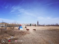 -蓝天盛景高尔夫马术俱乐部
