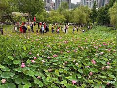 -沐仙湖湿地公园