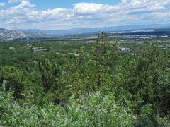 -北京鹫峰国家森林公园