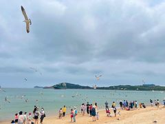 -海驴岛(荣成市)