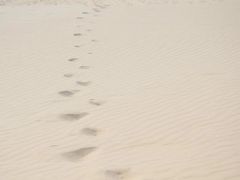 -库伦旗银沙湾旅游景区