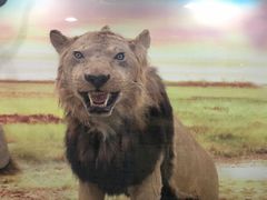 -郑州自然博物馆(惠济区)