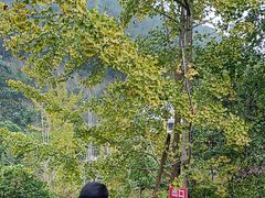-楠柏弯休闲山庄(梨花溪店)