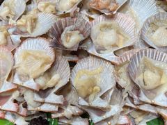 -非烤勿扰自助烤肉(东坑四季广场店)