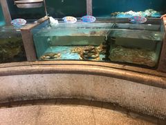 -快乐海鲜酒楼(滇池路店)
