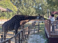 -北京野生动物园