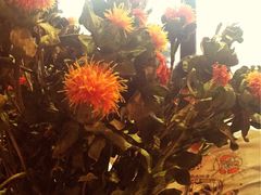 -MIKAKU(万达广场上海宝山店)