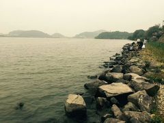 -吴淞炮台湾湿地森林公园烧烤区