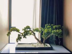 -水尚丽都