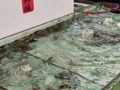 -大树头·花园餐厅(市桥店)