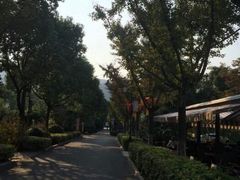 android_upload_pic-旺山景区