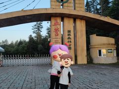 -五营红松林海景区