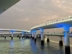 -演武大桥观景平台