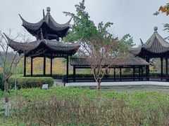 -重庆园博园