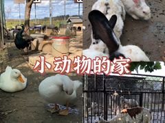 -河北村民俗体验园
