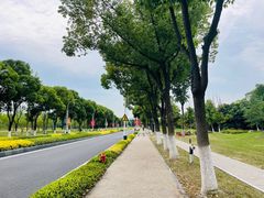 -东南大学(九龙湖校区)
