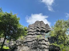 -梭布垭石林景区