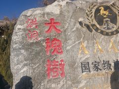 -大槐树寻根祭祖园
