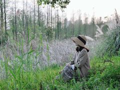 -艾溪湖湿地公园