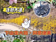 -国家植物园