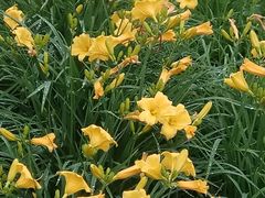 -丹东市五龙山风景区