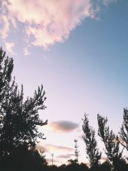 点击看大图 -醉库庄园·宴会厅·草坪婚礼场地