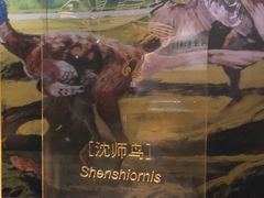 -辽宁古生物博物馆