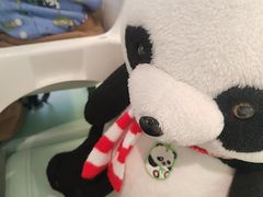 -眉州东坡·熊猫主题餐厅(枫蓝店)