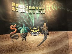 -成都动物园