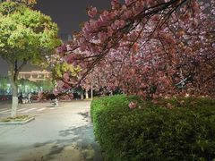 -江南大学(蠡湖校区)