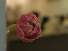 -Jeans Coffee牛仔裤咖啡