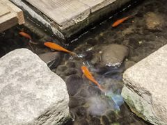 -邈墨茶馆(大兜路1号店)