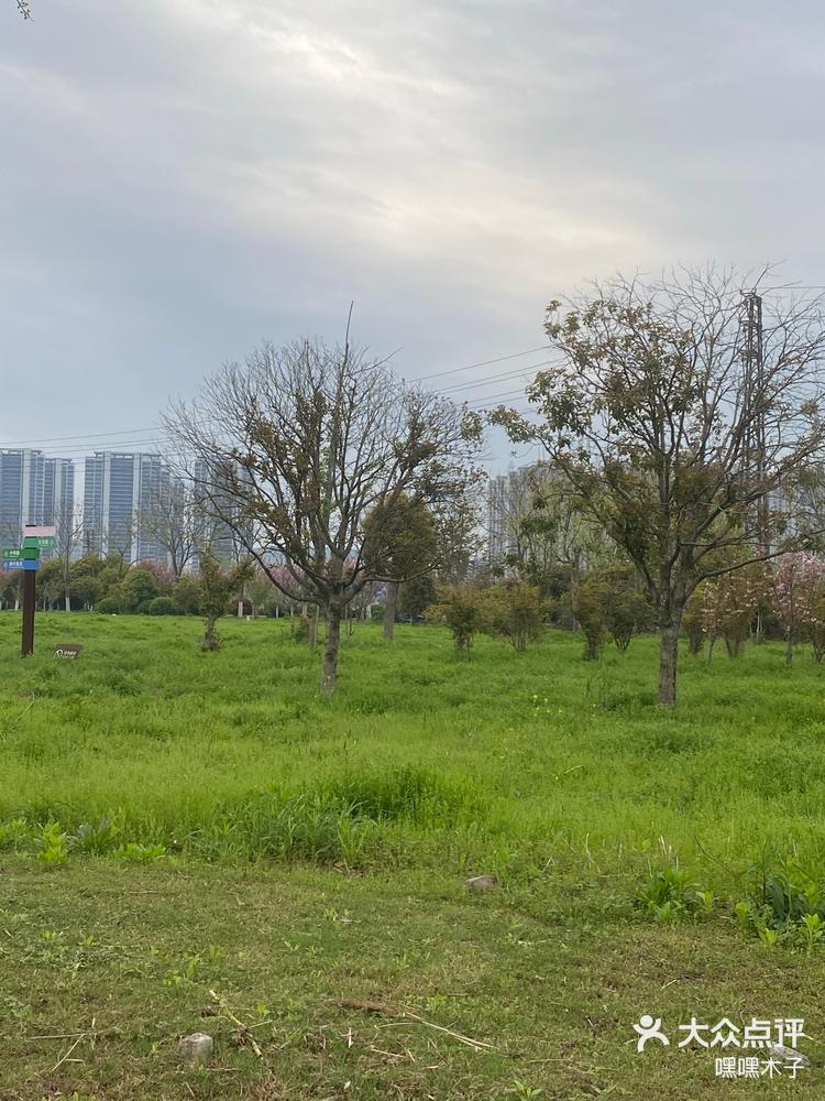 南京建邺区的滨河公园