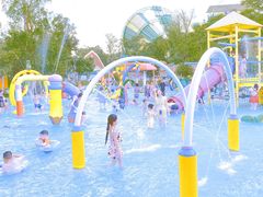 -苏州乐园森林水世界