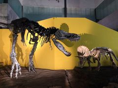 -湖南省地质博物馆