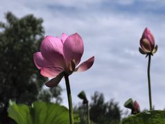-东郊湿地公园