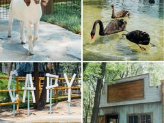 -南戴河国际娱乐中心