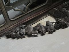-乌镇东栅景区-江南百床馆