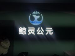 -鲸灵公元游泳中心