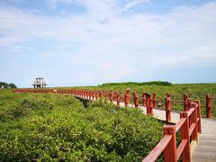 -北海金海湾红树林生态旅游区