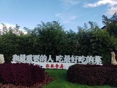 -红林食府