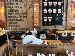 大堂-Vanilla Specialty Coffee(八大关店)
