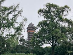 -塔子山公园
